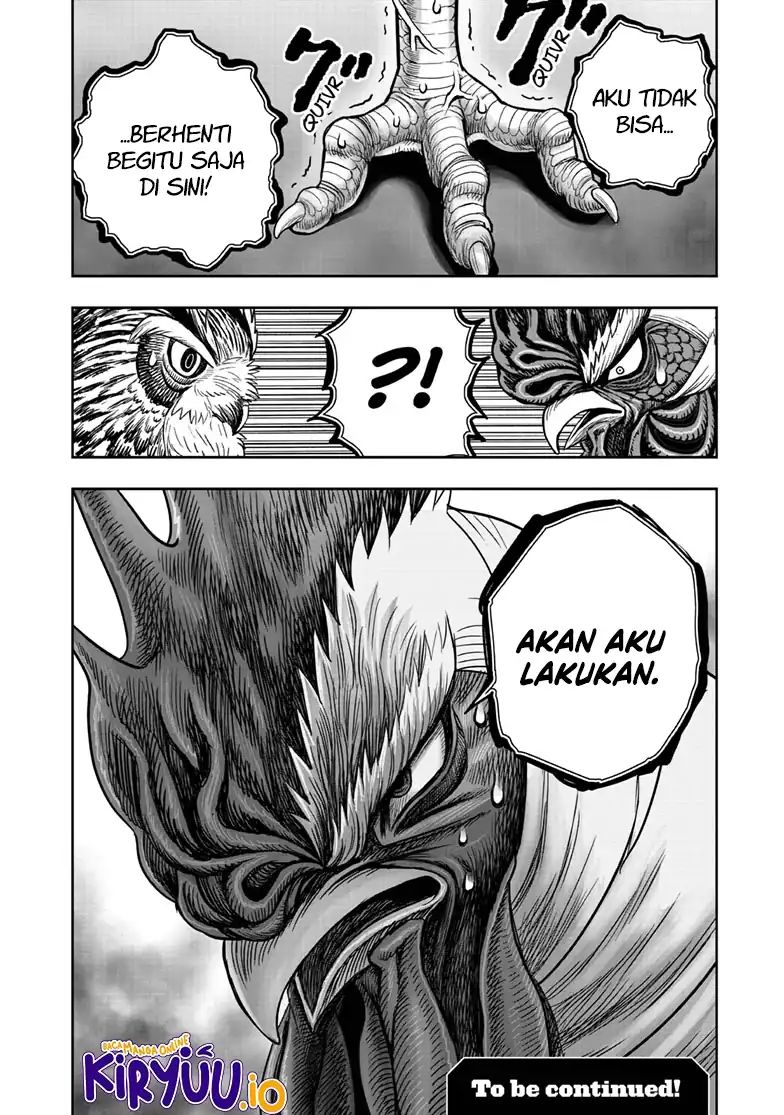 Dilarang COPAS - situs resmi www.mangacanblog.com - Komik rooster fighter 048 - chapter 48 49 Indonesia rooster fighter 048 - chapter 48 Terbaru 32|Baca Manga Komik Indonesia|Mangacan