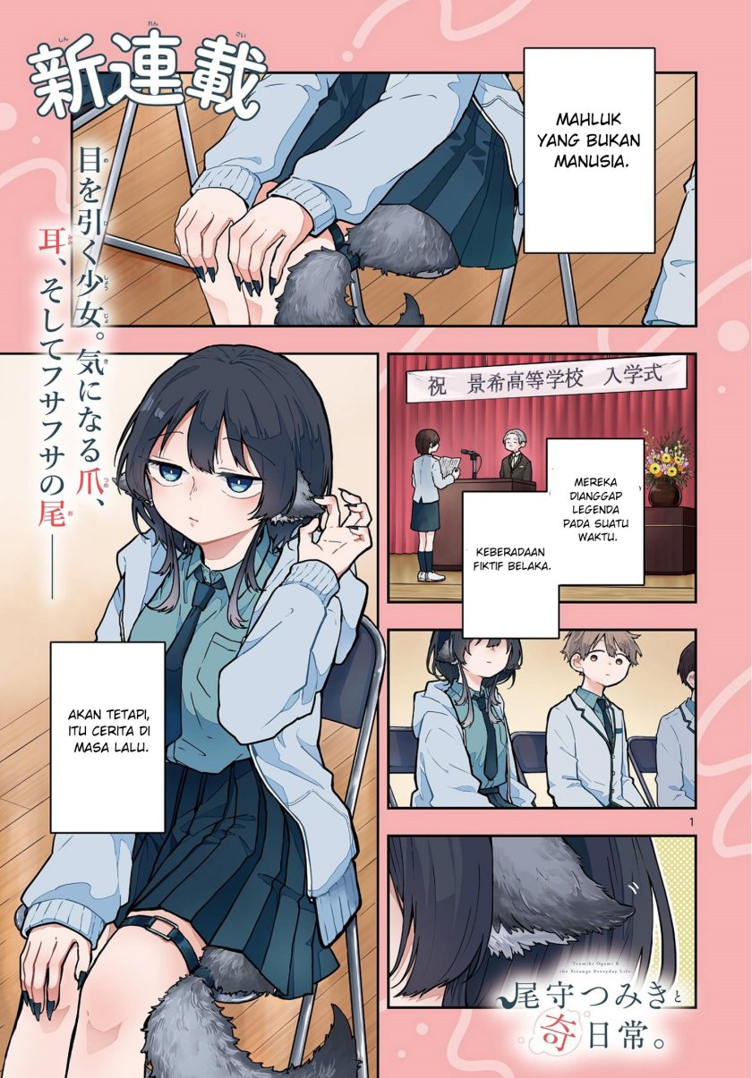Ogami Tsumiki to Kinichijou. chapter 1