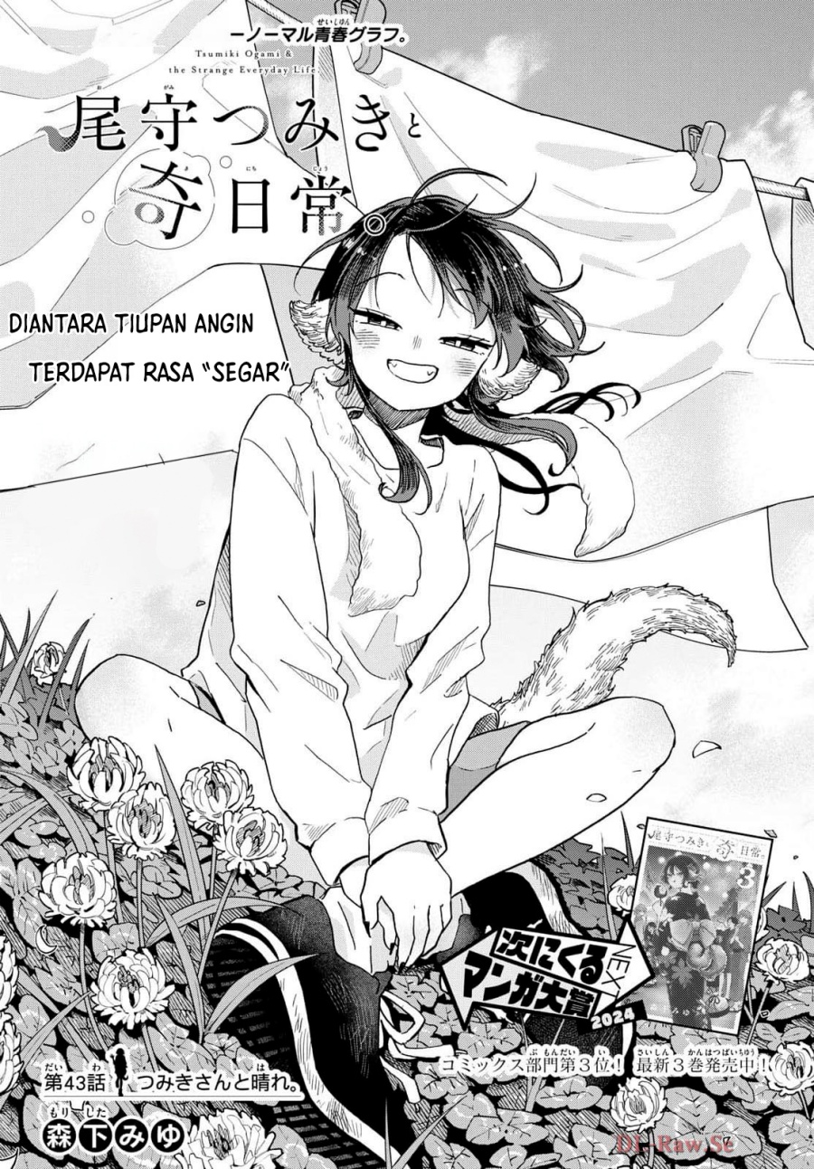 Ogami Tsumiki to Kinichijou. chapter 43