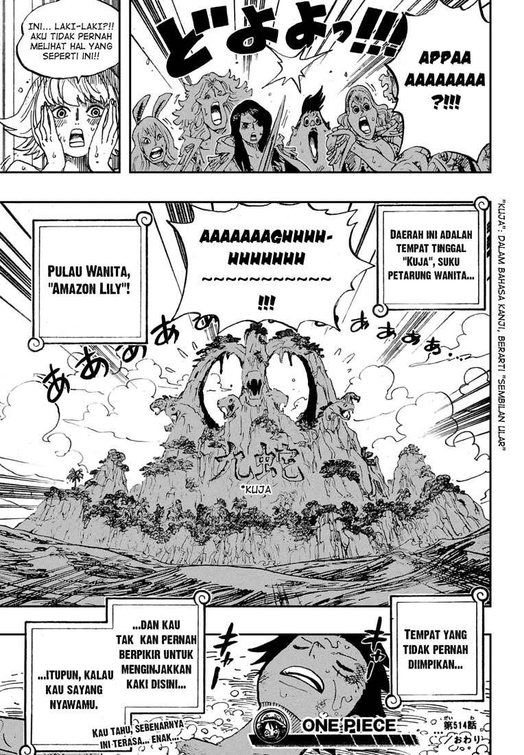 One Piece Chapter 514 Bahasa Indonesia