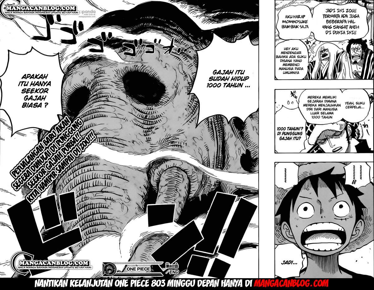One Piece Chapter 802