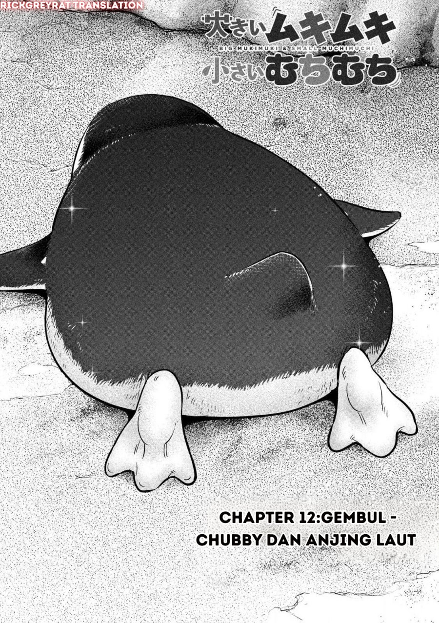 Ookii Muki Muki Chiisai Muchi Muchi chapter 12