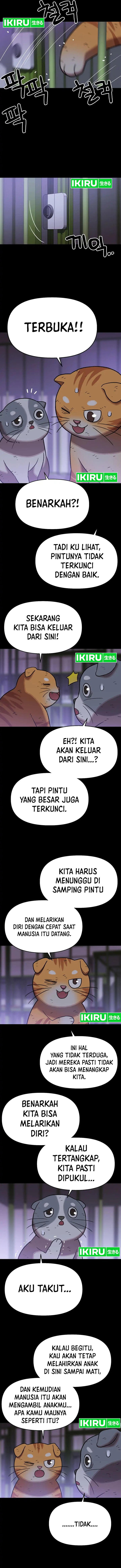 Rainbow Bridge Watchman chapter 137