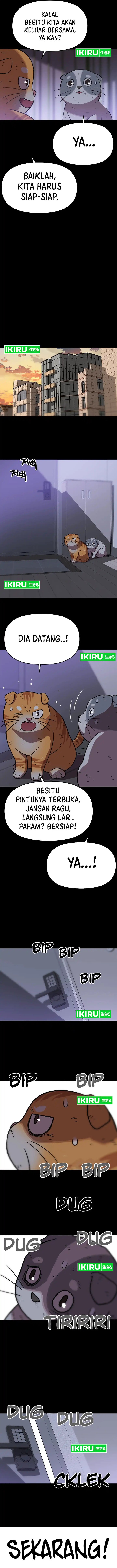 Rainbow Bridge Watchman chapter 137