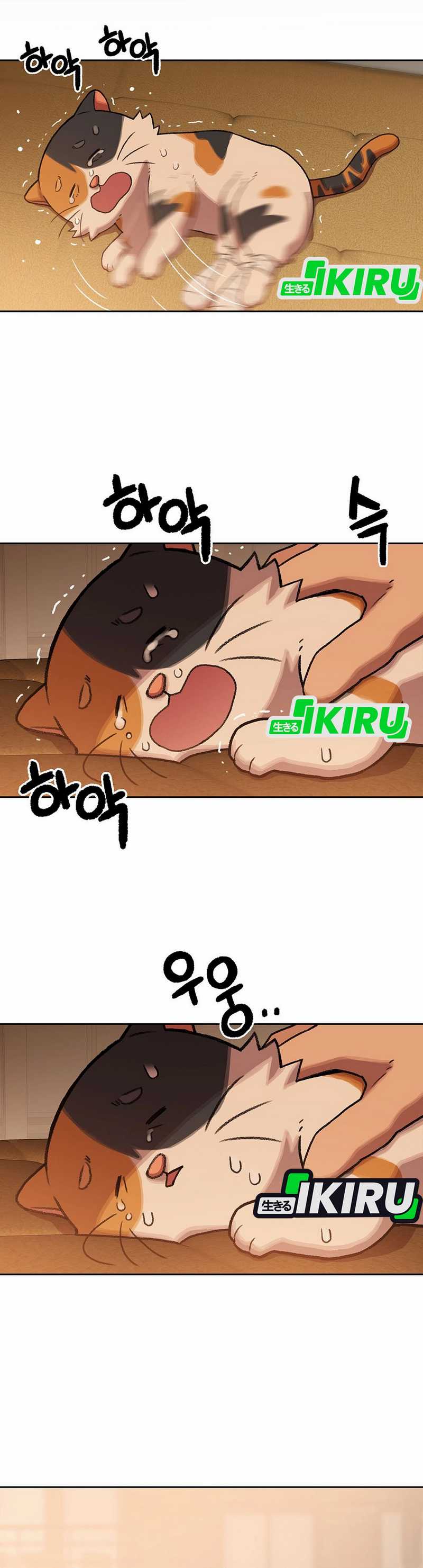 Rainbow Bridge Watchman chapter 152