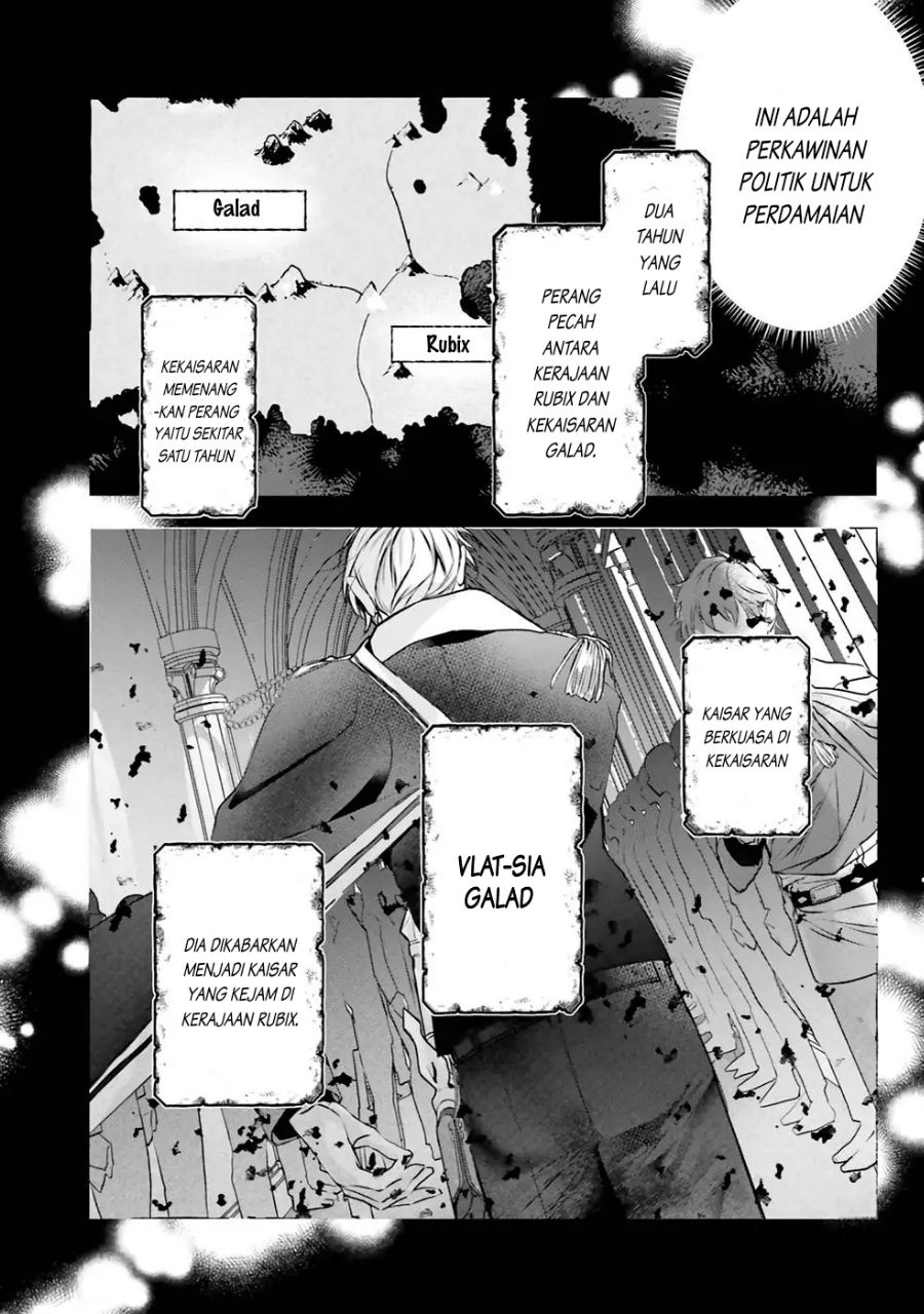 Reikoku Koutei wa Hitojichi Oujo wo Dekiai-chuu chapter 1