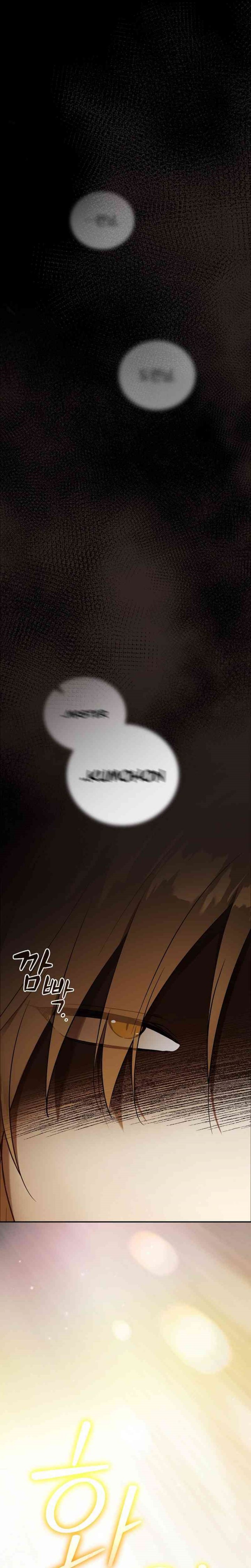 Reincarnated as the Archduke’s Son (A Mercenary’s Rebirth Among Nobles) Chapter 01 Bahasa Indonesia