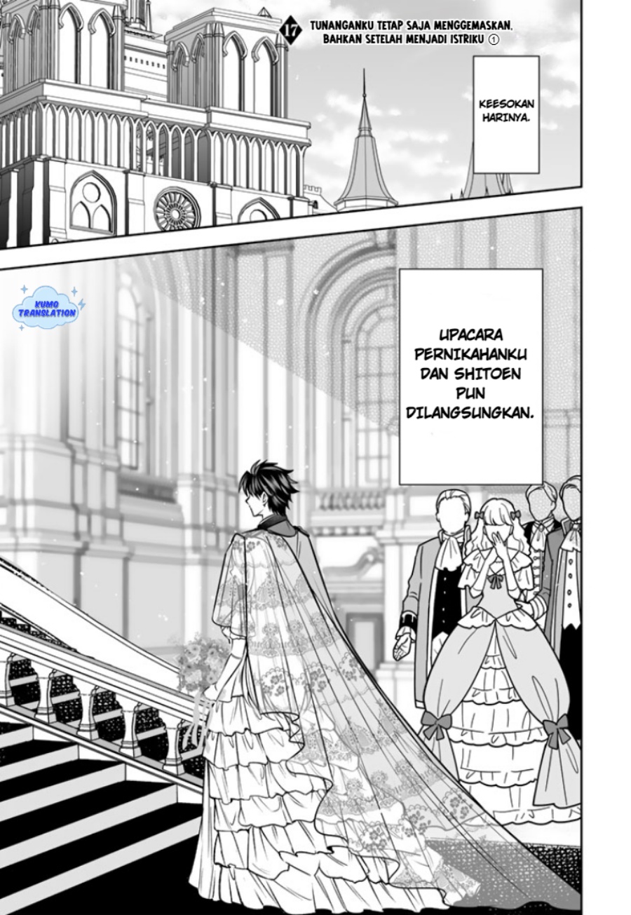 Rinkoku kara Kita Yome ga Kawaisugite Doushiyou chapter 17
