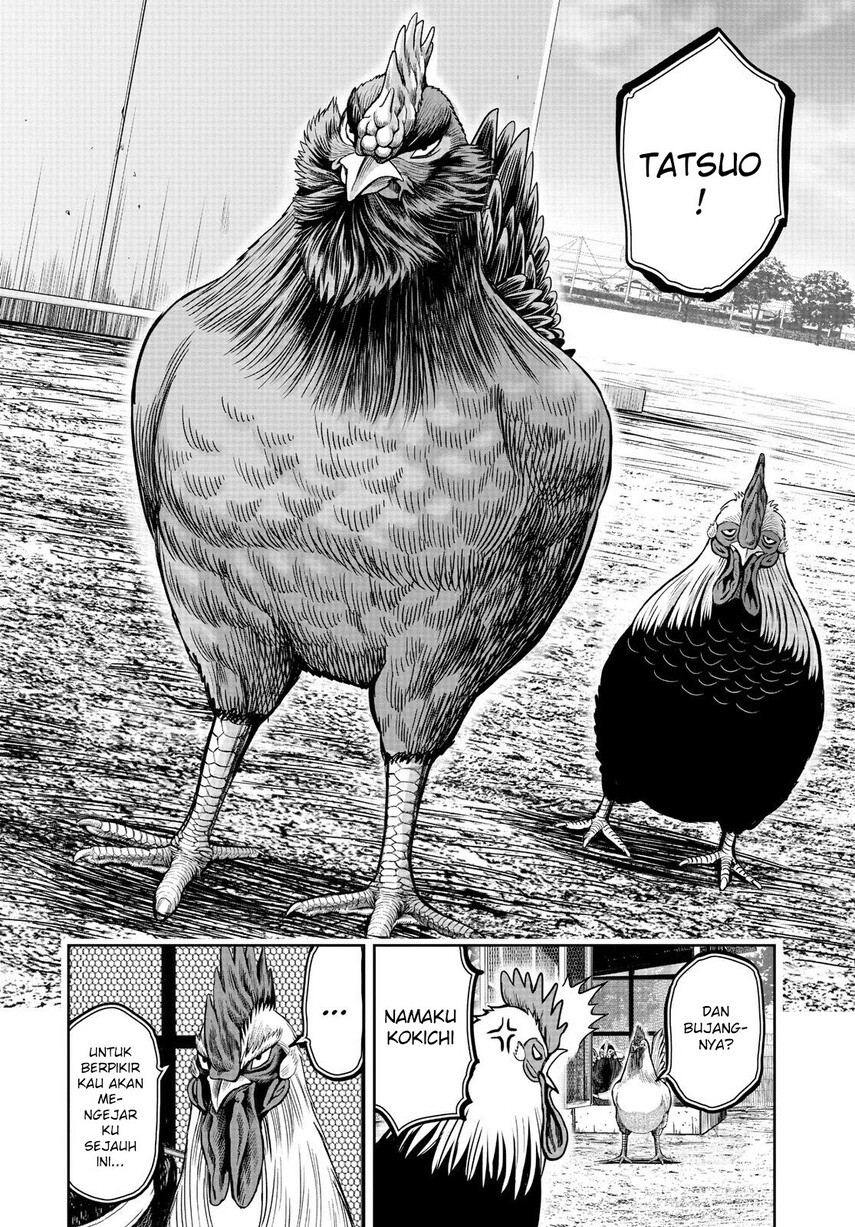 Dilarang COPAS - situs resmi www.mangacanblog.com - Komik rooster fighter 011 - chapter 11 12 Indonesia rooster fighter 011 - chapter 11 Terbaru 15|Baca Manga Komik Indonesia|Mangacan