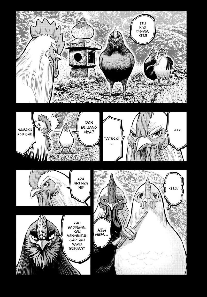 Dilarang COPAS - situs resmi www.mangacanblog.com - Komik rooster fighter 011 - chapter 11 12 Indonesia rooster fighter 011 - chapter 11 Terbaru 19|Baca Manga Komik Indonesia|Mangacan