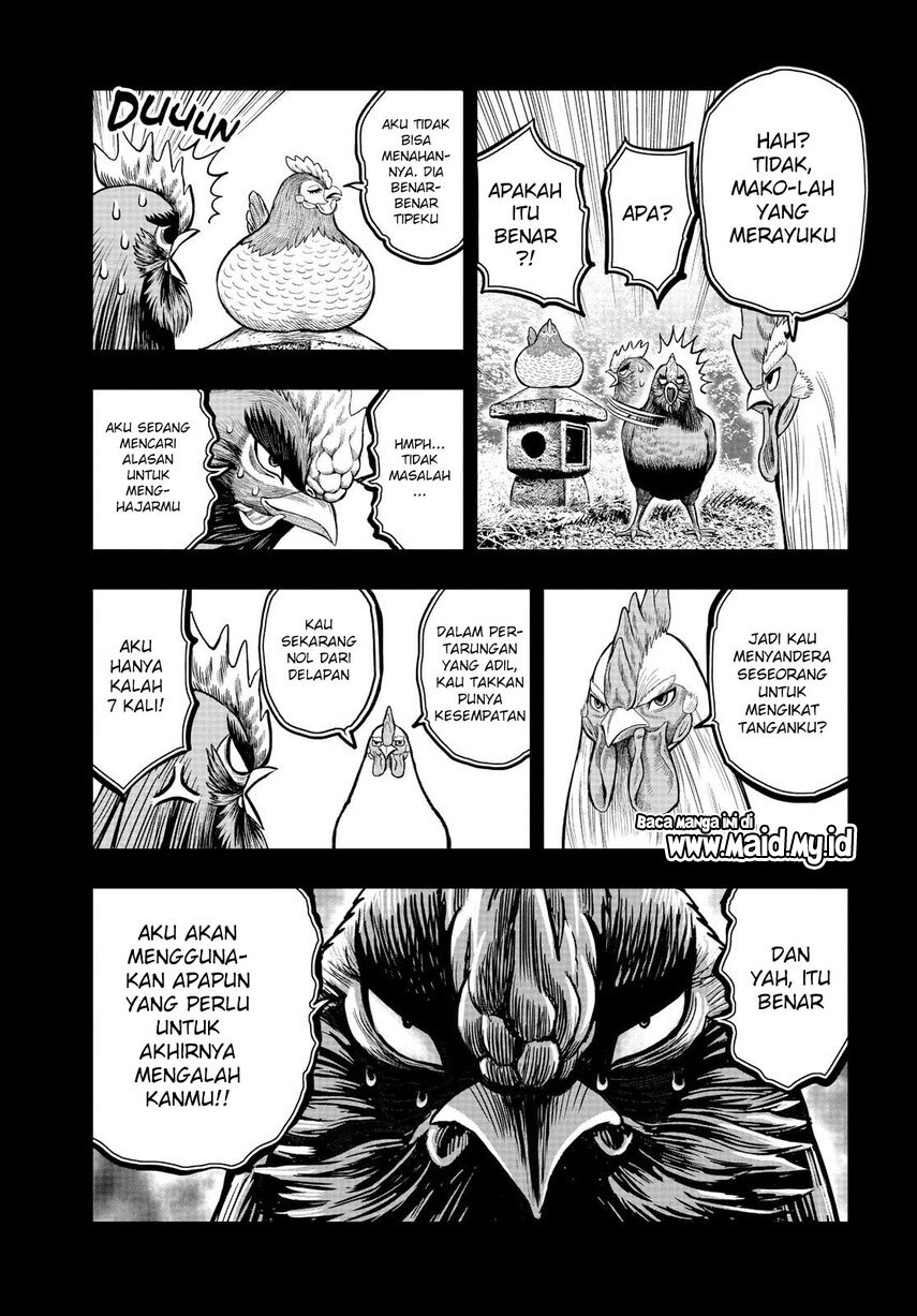 Dilarang COPAS - situs resmi www.mangacanblog.com - Komik rooster fighter 011 - chapter 11 12 Indonesia rooster fighter 011 - chapter 11 Terbaru 20|Baca Manga Komik Indonesia|Mangacan