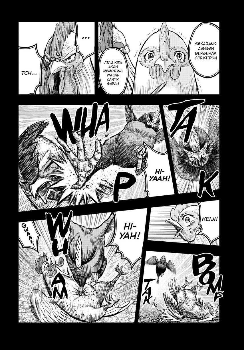 Dilarang COPAS - situs resmi www.mangacanblog.com - Komik rooster fighter 011 - chapter 11 12 Indonesia rooster fighter 011 - chapter 11 Terbaru 21|Baca Manga Komik Indonesia|Mangacan