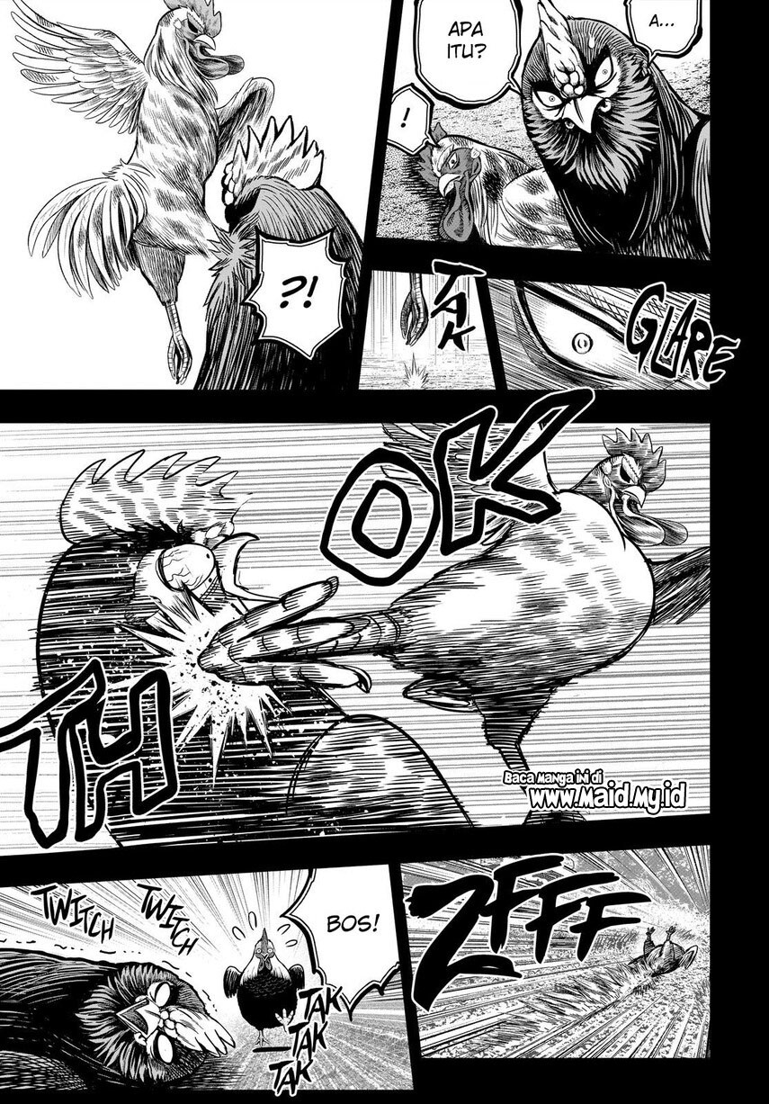 Dilarang COPAS - situs resmi www.mangacanblog.com - Komik rooster fighter 011 - chapter 11 12 Indonesia rooster fighter 011 - chapter 11 Terbaru 24|Baca Manga Komik Indonesia|Mangacan