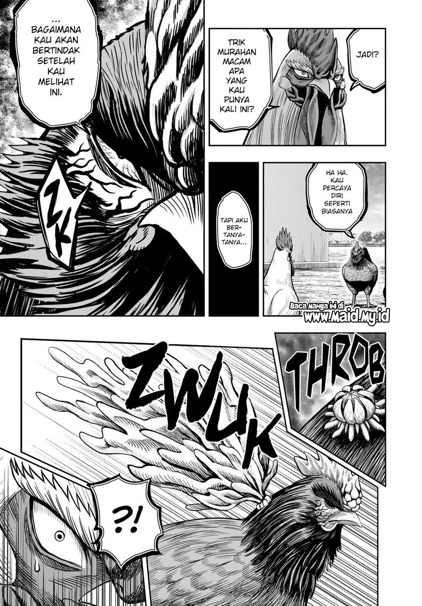 Dilarang COPAS - situs resmi www.mangacanblog.com - Komik rooster fighter 011 - chapter 11 12 Indonesia rooster fighter 011 - chapter 11 Terbaru 26|Baca Manga Komik Indonesia|Mangacan