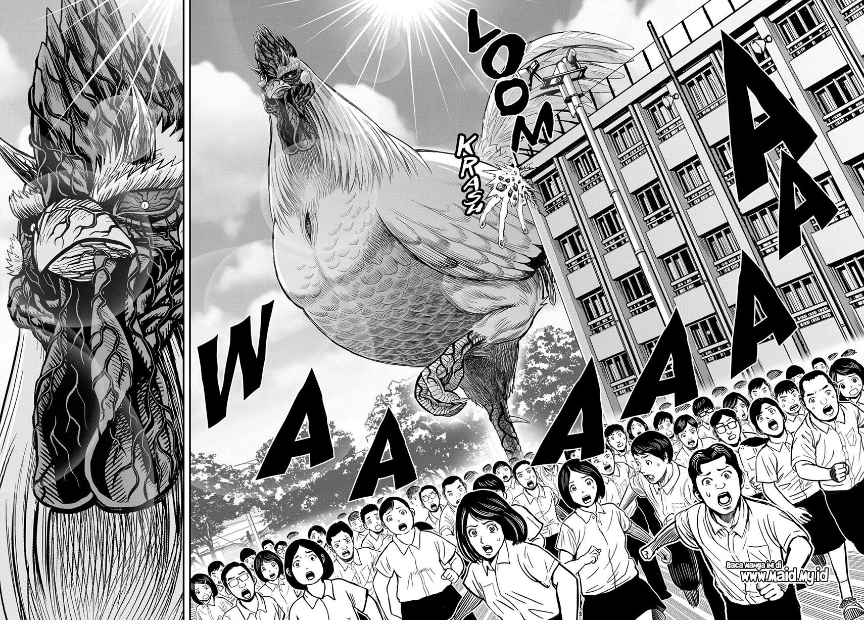 Dilarang COPAS - situs resmi www.mangacanblog.com - Komik rooster fighter 011 - chapter 11 12 Indonesia rooster fighter 011 - chapter 11 Terbaru 29|Baca Manga Komik Indonesia|Mangacan