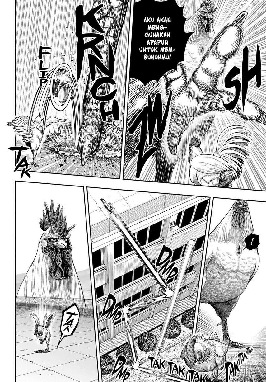 Dilarang COPAS - situs resmi www.mangacanblog.com - Komik rooster fighter 011 - chapter 11 12 Indonesia rooster fighter 011 - chapter 11 Terbaru 32|Baca Manga Komik Indonesia|Mangacan