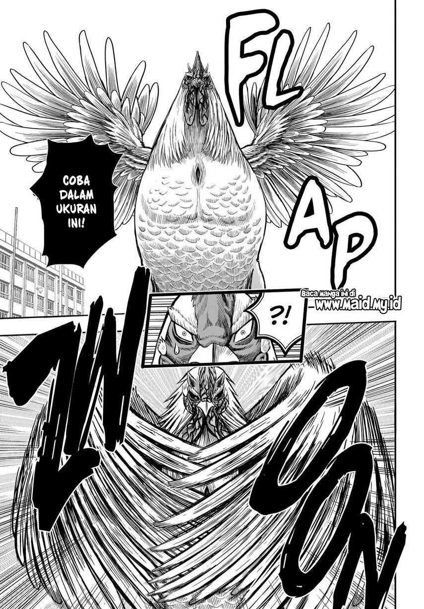 Dilarang COPAS - situs resmi www.mangacanblog.com - Komik rooster fighter 011 - chapter 11 12 Indonesia rooster fighter 011 - chapter 11 Terbaru 37|Baca Manga Komik Indonesia|Mangacan