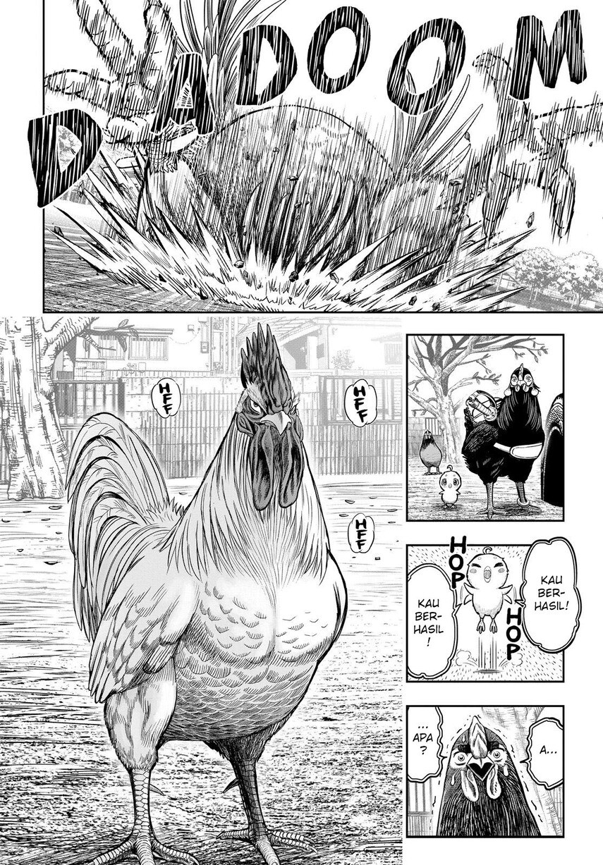 Dilarang COPAS - situs resmi www.mangacanblog.com - Komik rooster fighter 011 - chapter 11 12 Indonesia rooster fighter 011 - chapter 11 Terbaru 45|Baca Manga Komik Indonesia|Mangacan