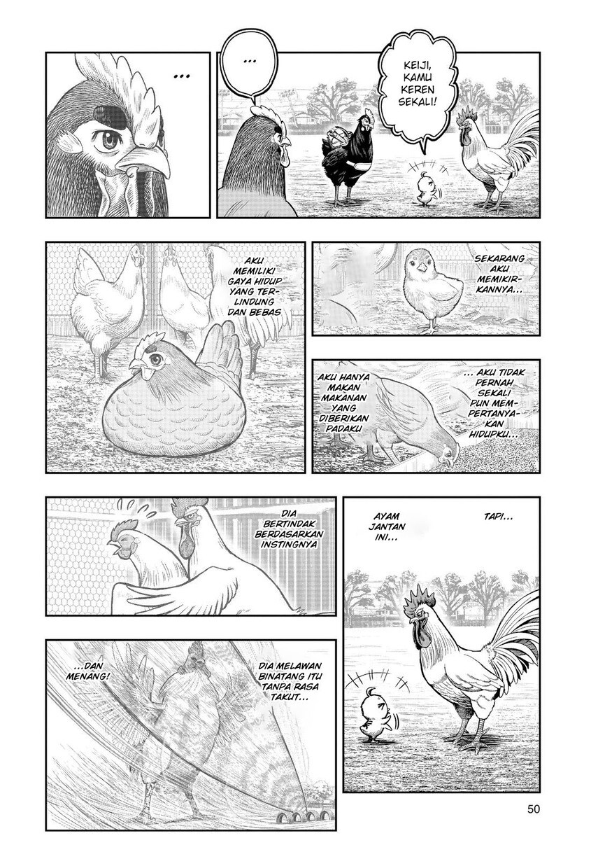 Dilarang COPAS - situs resmi www.mangacanblog.com - Komik rooster fighter 011 - chapter 11 12 Indonesia rooster fighter 011 - chapter 11 Terbaru 47|Baca Manga Komik Indonesia|Mangacan