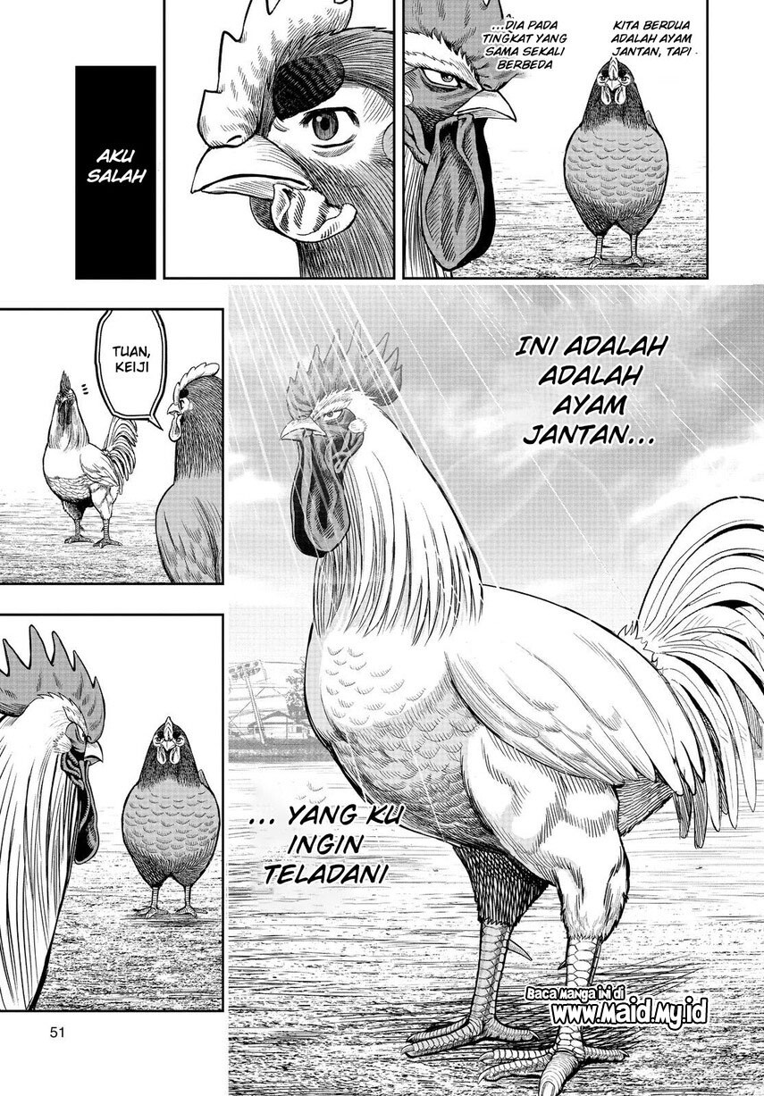 Dilarang COPAS - situs resmi www.mangacanblog.com - Komik rooster fighter 011 - chapter 11 12 Indonesia rooster fighter 011 - chapter 11 Terbaru 48|Baca Manga Komik Indonesia|Mangacan