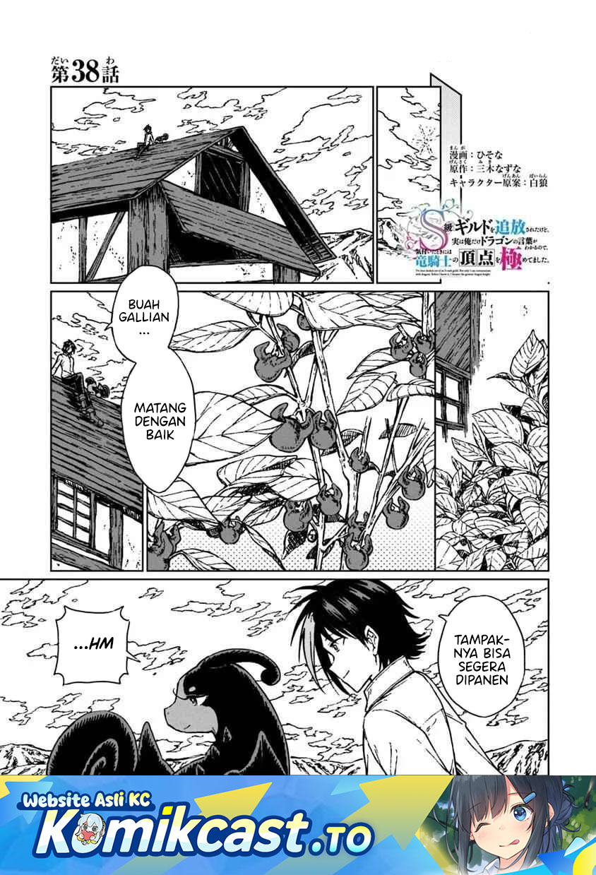 S-kyuu Guild wo Tsuihou saretakedo, Jitsu wa Ore dake Dragon no Kotoba ga Wakaru no de, Kidzuita Toki ni wa Ryuu Kishi no Chouten wo Kiwametemashita chapter 38