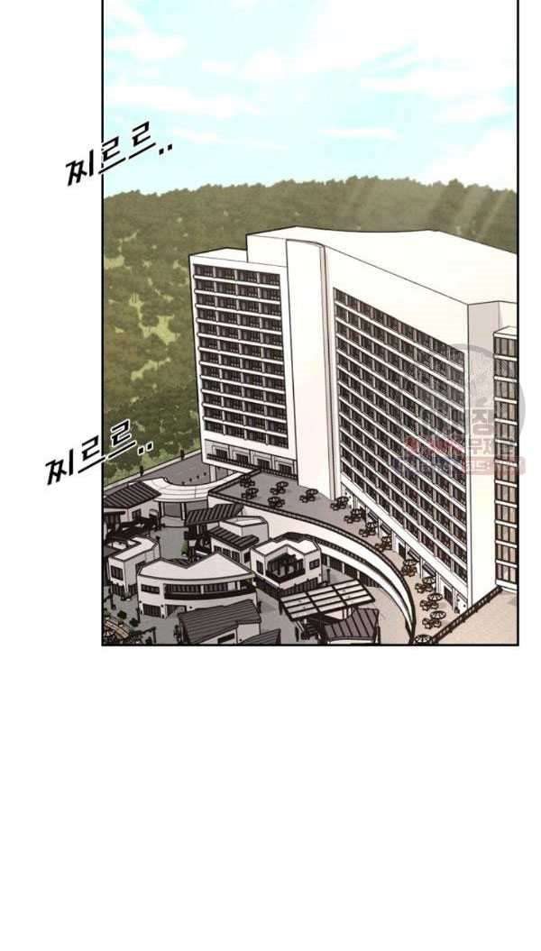 Shark chapter 213