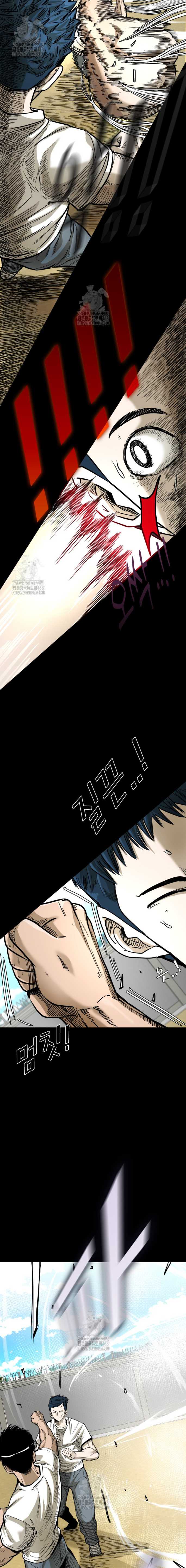 Shark chapter 372