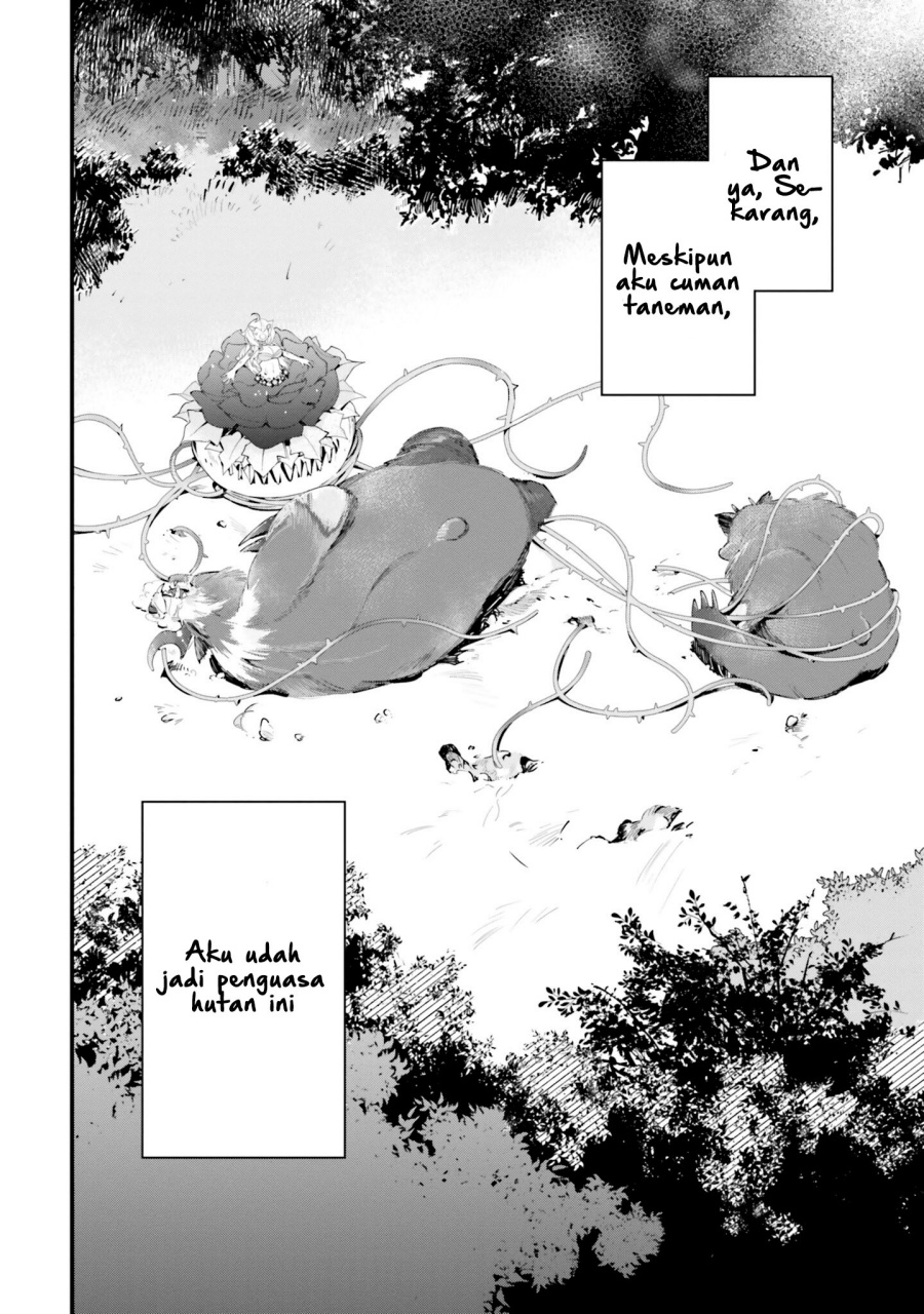 Shokubutsu Monster Musume Nikki chapter 8