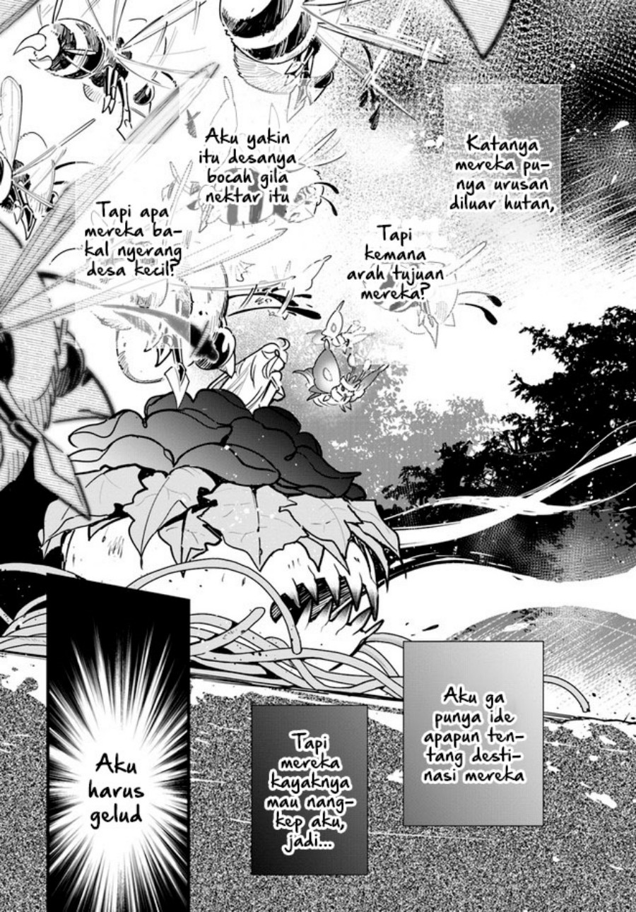 Shokubutsu Monster Musume Nikki chapter 11