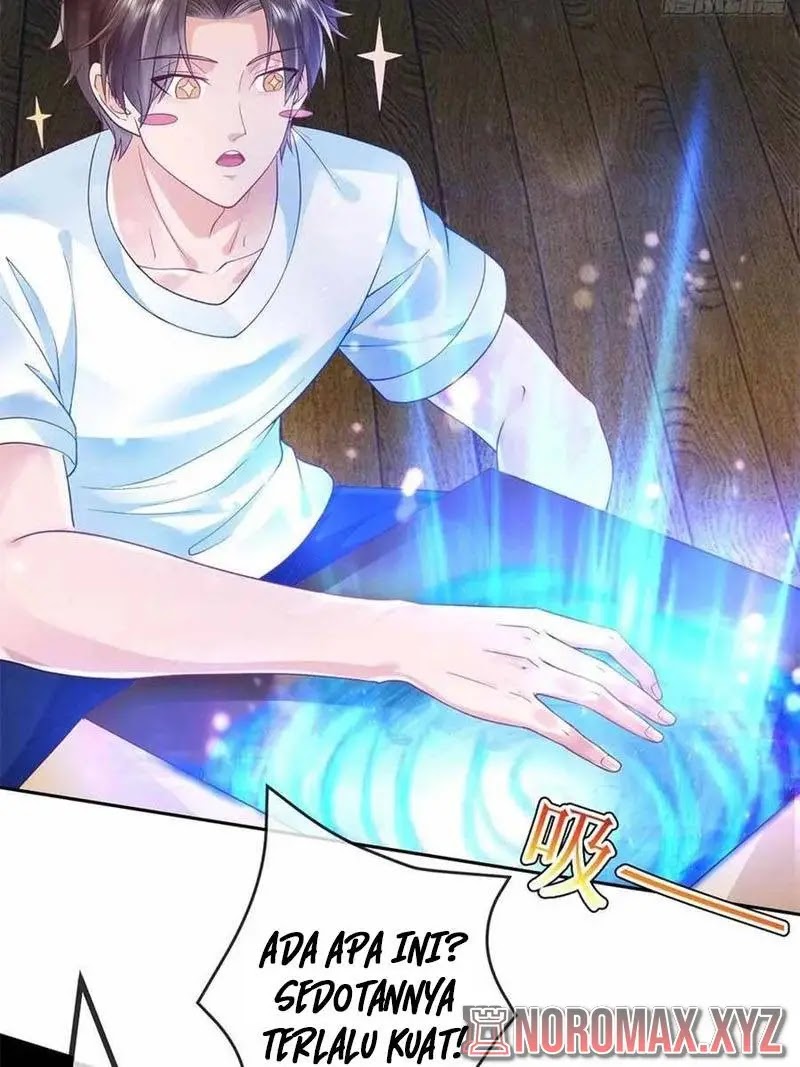Sign in the Mystery Box to Dominate the World of Cultivation chapter 1