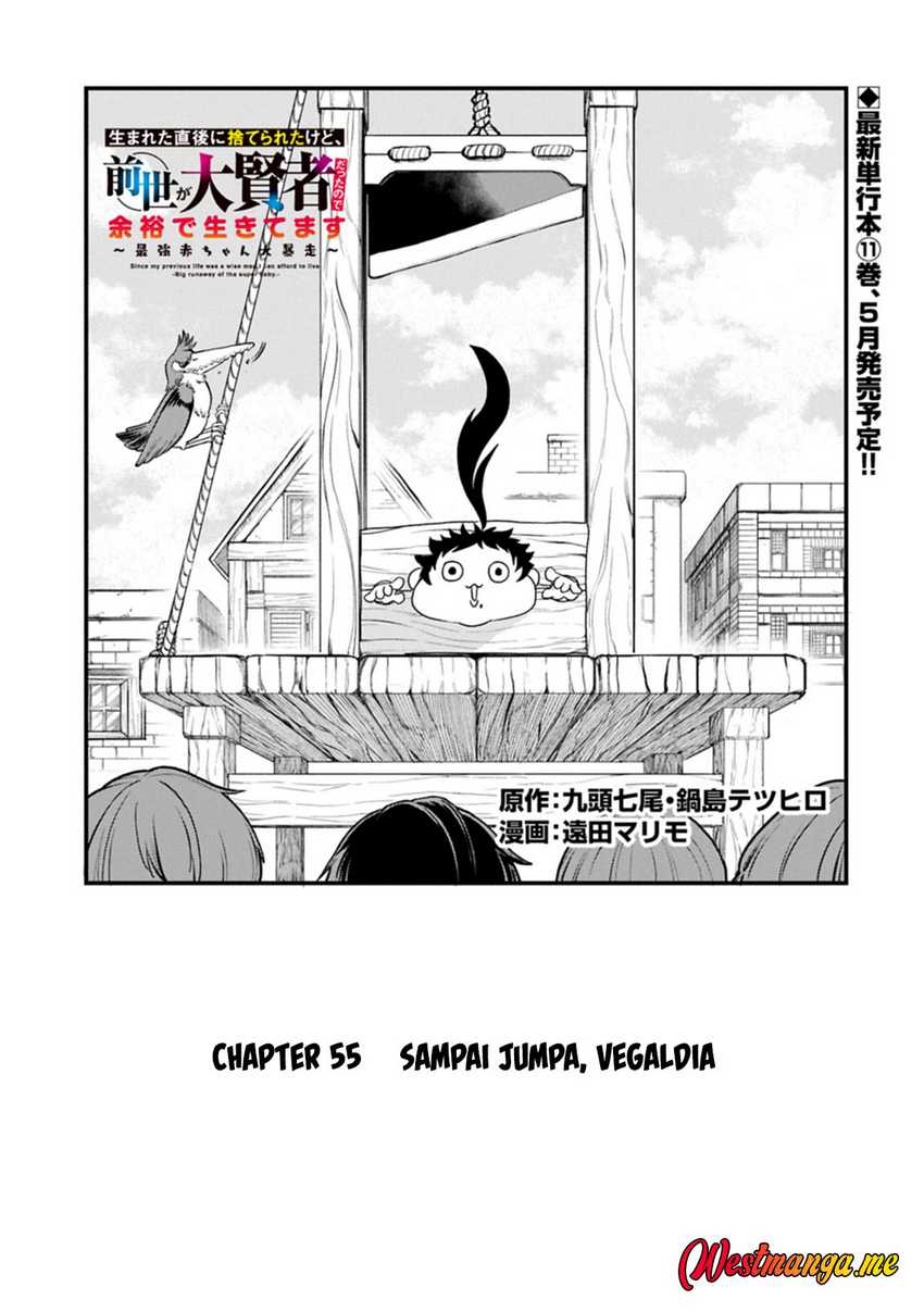 Since My Previous Life Was A Wise Man I Can Afford To Live chapter 55