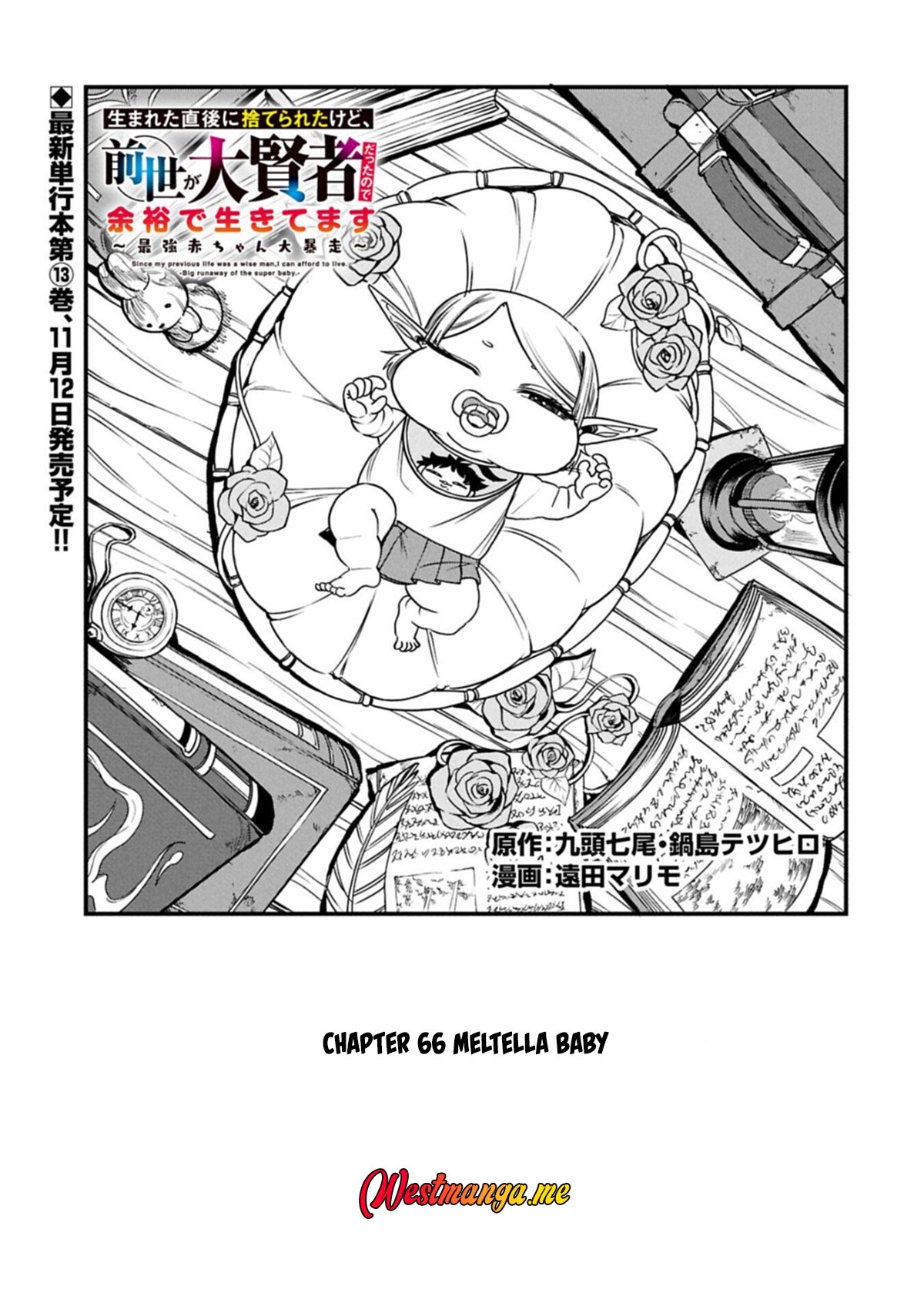 Since My Previous Life Was A Wise Man I Can Afford To Live chapter 66