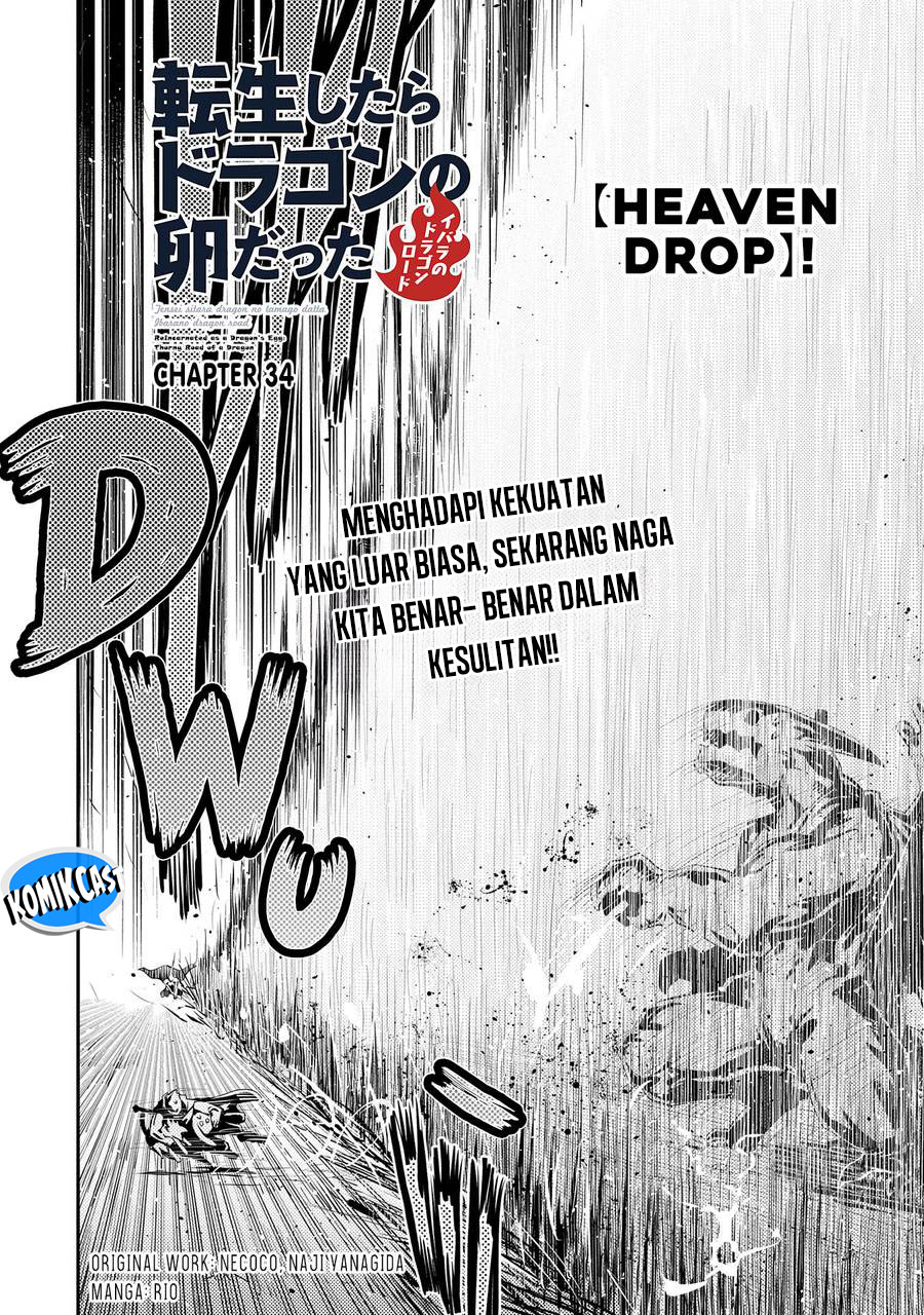 Tensei Shitara Dragon no Tamago datta: Saikyou Igai Mezasanee Chapter 34 Bahasa Indonesia