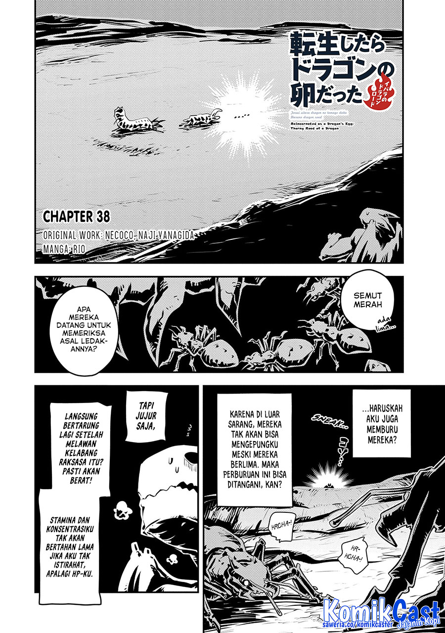 Tensei Shitara Dragon no Tamago datta: Saikyou Igai Mezasanee Chapter 38 Bahasa Indonesia