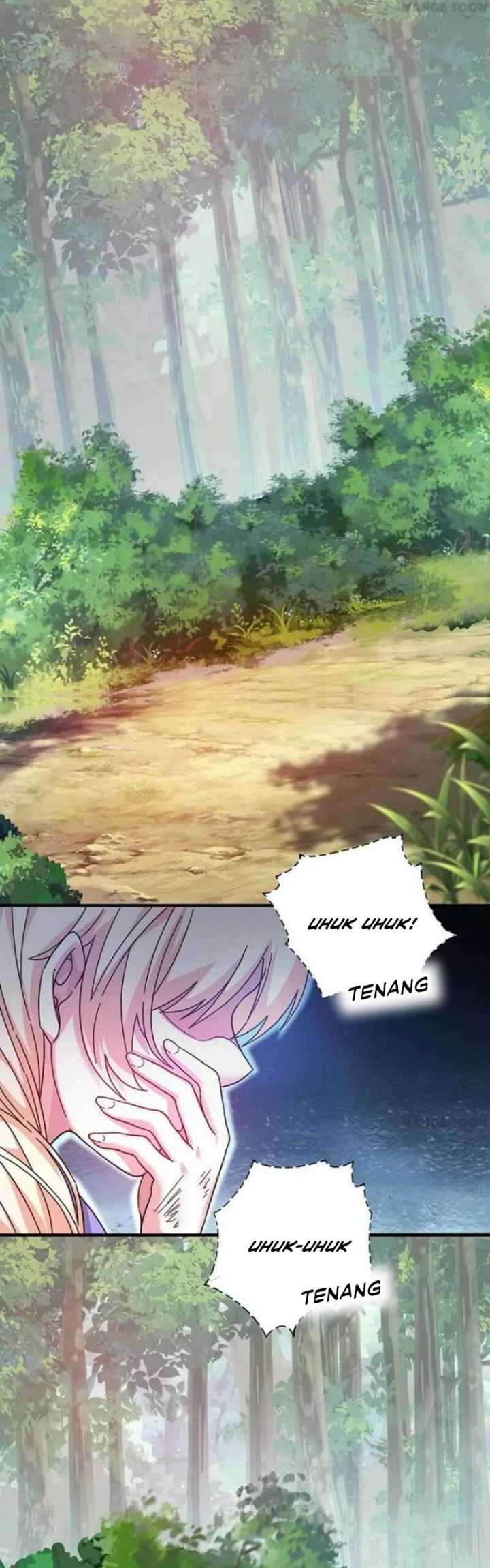The First Son-In-Law Vanguard of All Time chapter 213