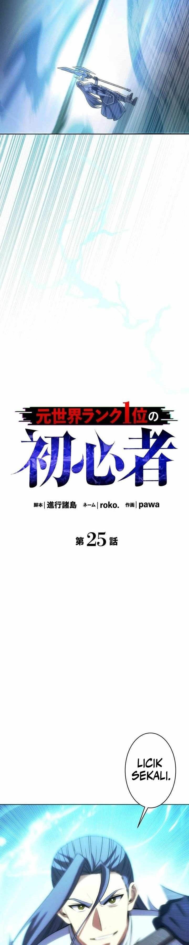 The Beginner, Formerly Ranked Number One in the World chapter 25