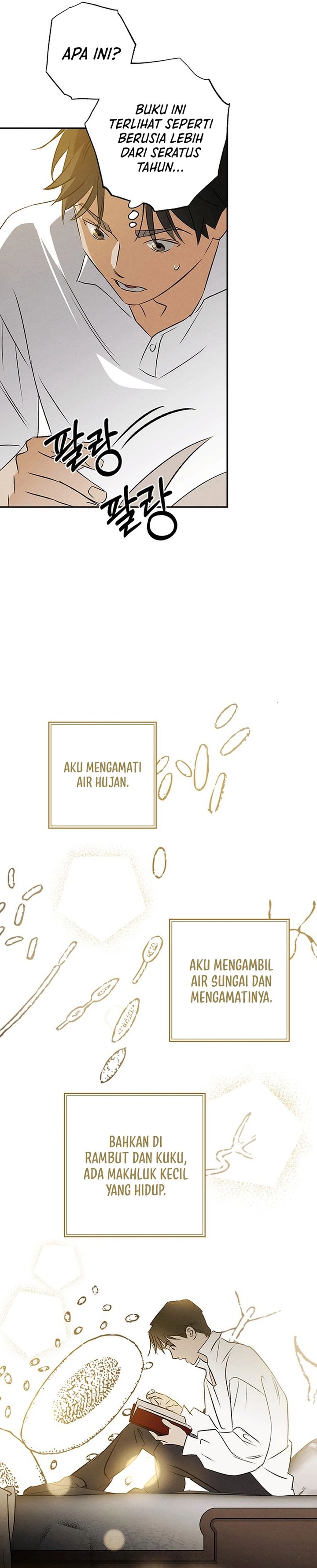 The Black-Haired British Doctor chapter 48