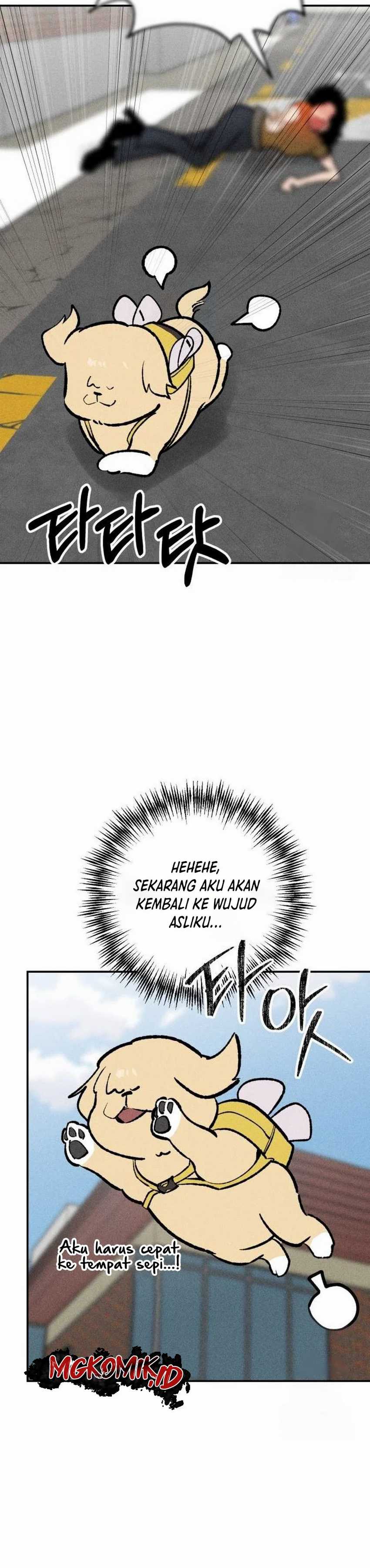 The Devilish Son-In-Law chapter 24