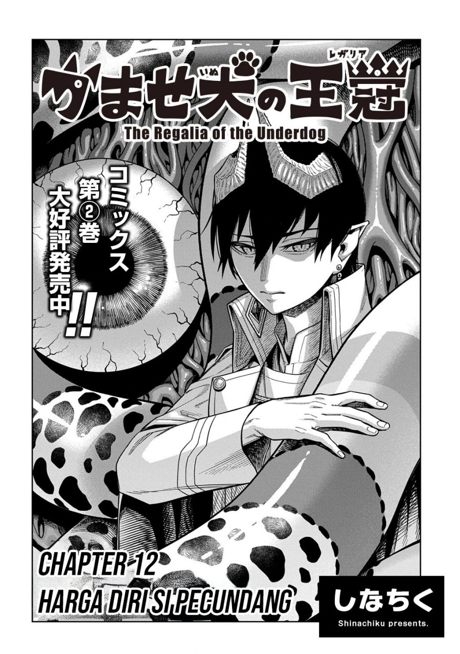 The Regalia of the Underdog chapter 12