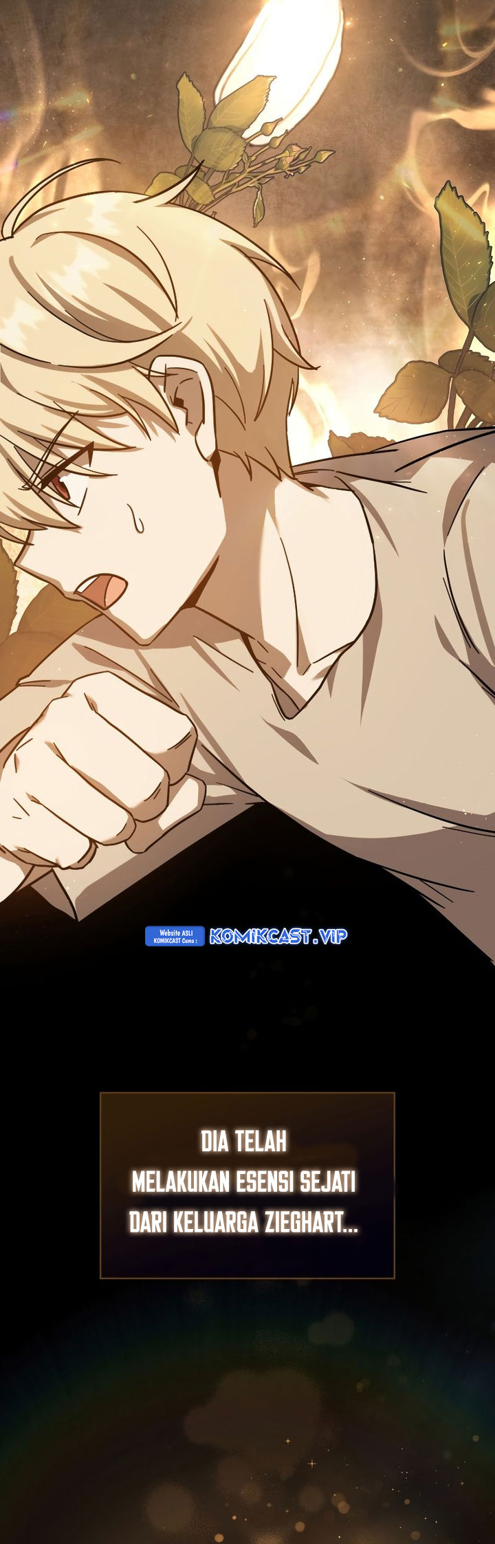 The Reincarnated Assassin is a Genius Swordsman chapter 14