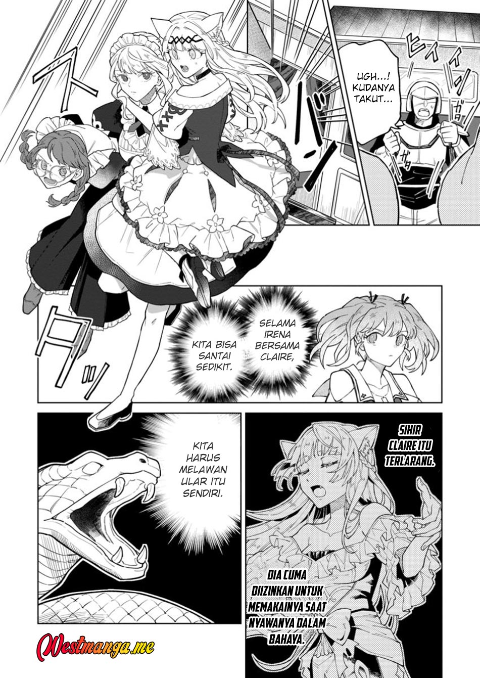 The White Mage Who Was Banished From the Hero’s Party Is Picked up by an S Rank Adventurer ~ This White Mage Is Too Out of the Ordinary! chapter 43