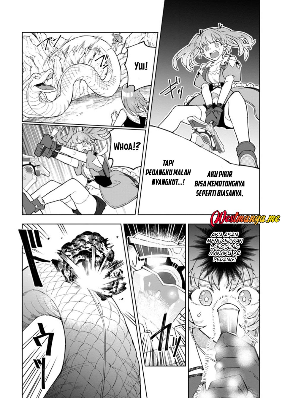 The White Mage Who Was Banished From the Hero’s Party Is Picked up by an S Rank Adventurer ~ This White Mage Is Too Out of the Ordinary! chapter 43