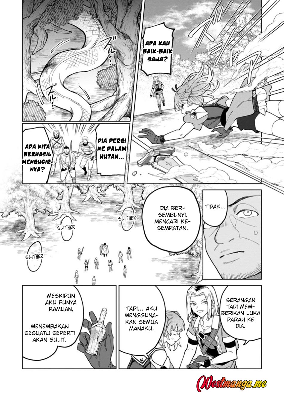 The White Mage Who Was Banished From the Hero’s Party Is Picked up by an S Rank Adventurer ~ This White Mage Is Too Out of the Ordinary! chapter 43