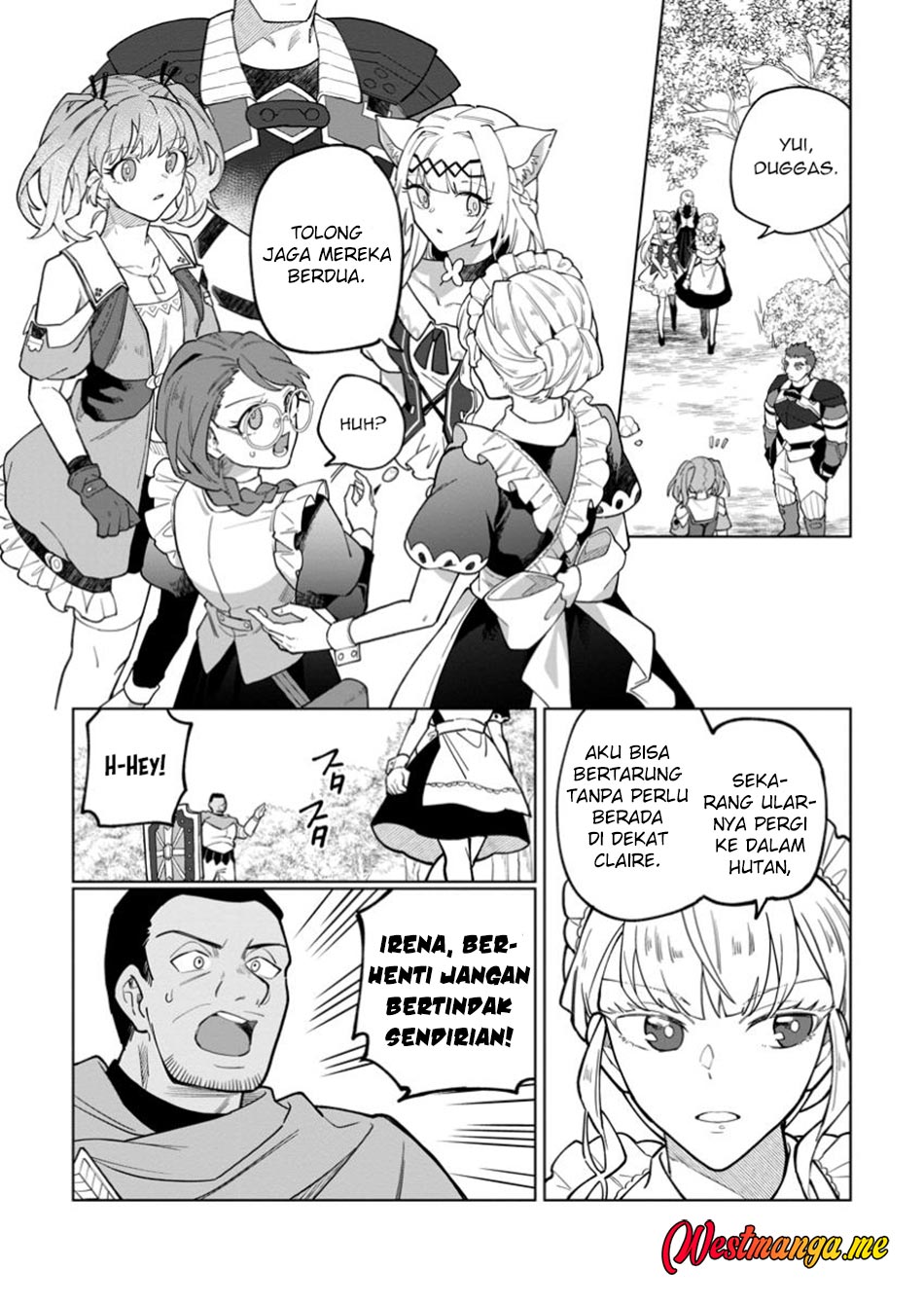 The White Mage Who Was Banished From the Hero’s Party Is Picked up by an S Rank Adventurer ~ This White Mage Is Too Out of the Ordinary! chapter 43