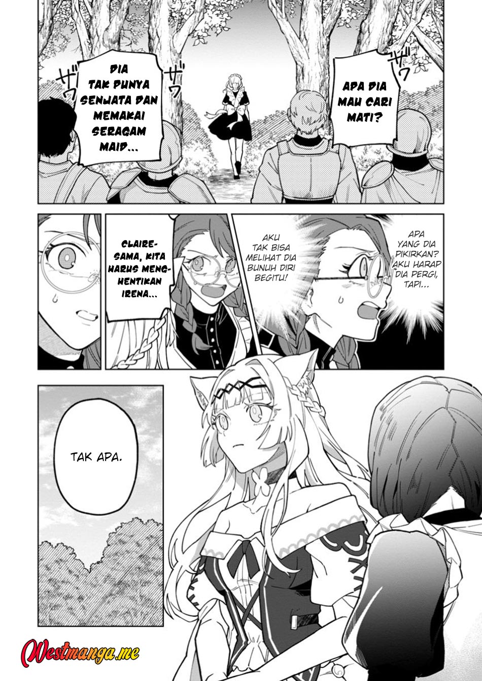 The White Mage Who Was Banished From the Hero’s Party Is Picked up by an S Rank Adventurer ~ This White Mage Is Too Out of the Ordinary! chapter 43