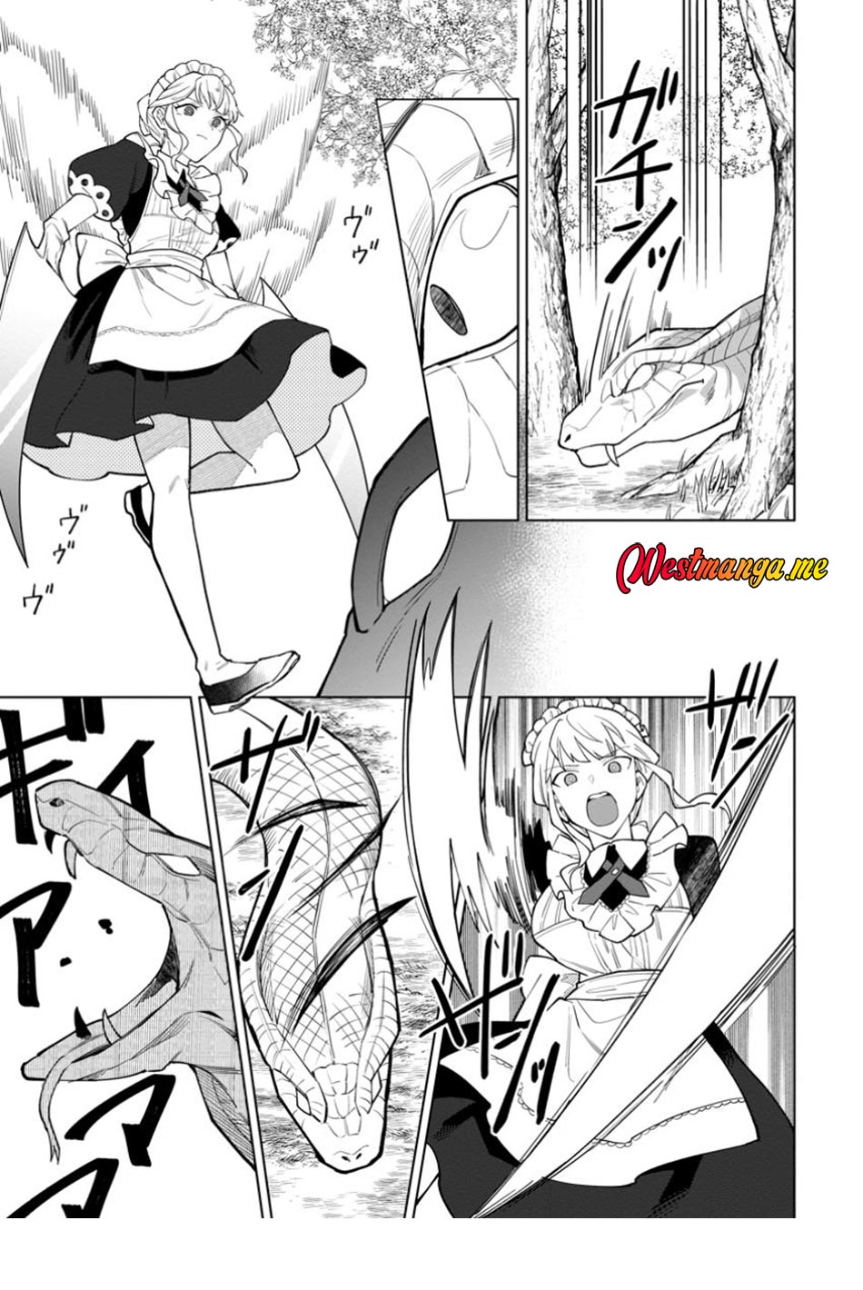 The White Mage Who Was Banished From the Hero’s Party Is Picked up by an S Rank Adventurer ~ This White Mage Is Too Out of the Ordinary! chapter 43