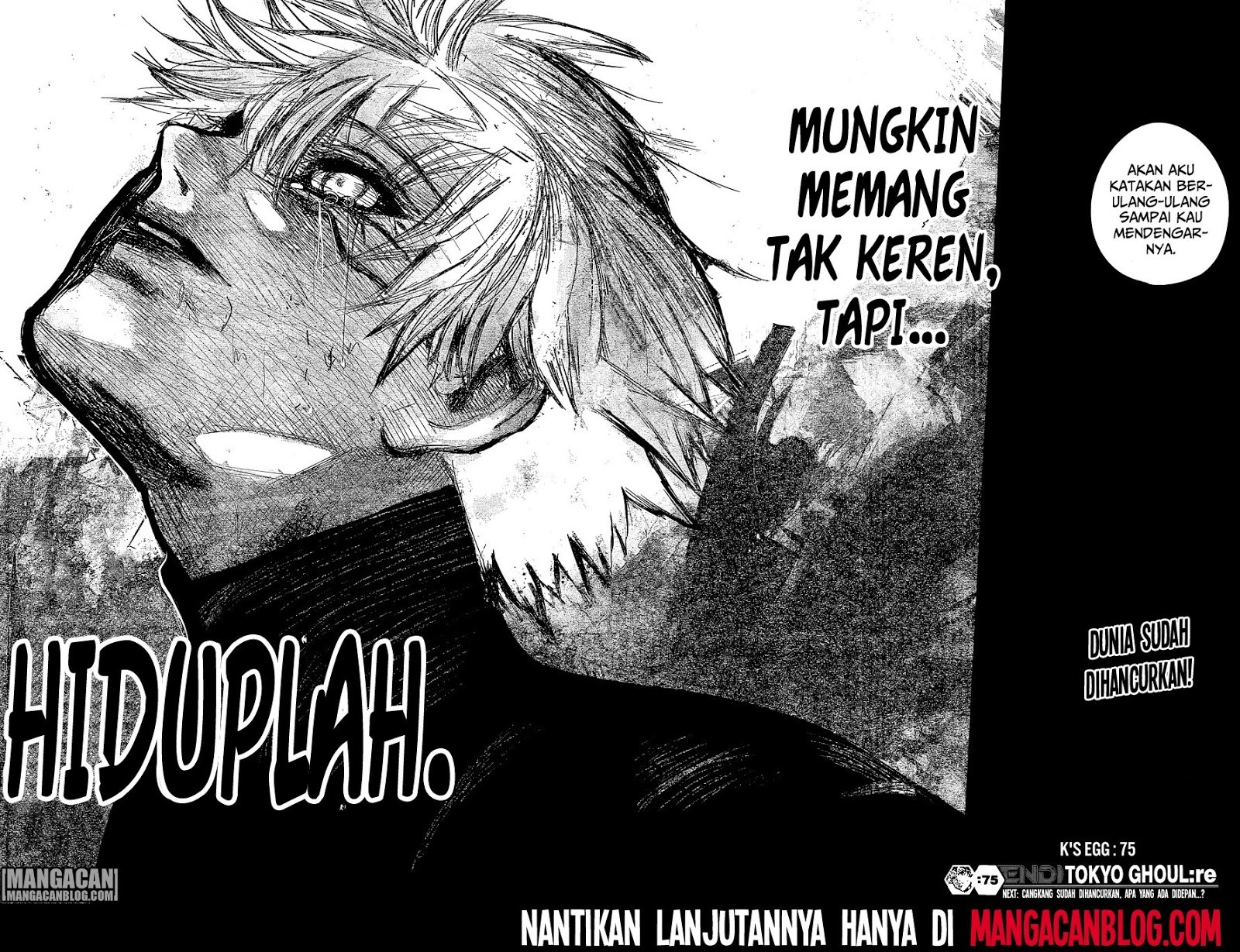 Tokyo Ghoul:re Chapter 75