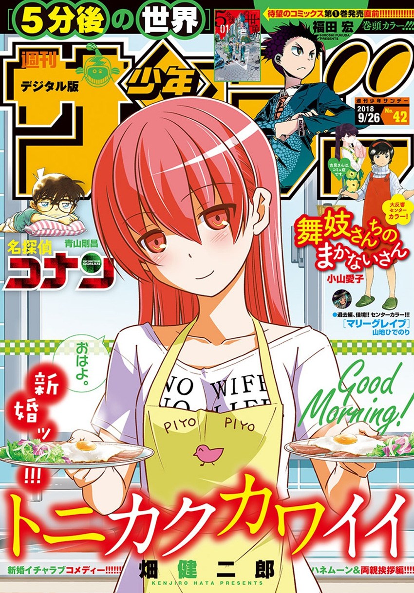 Tonikaku Kawaii chapter 41