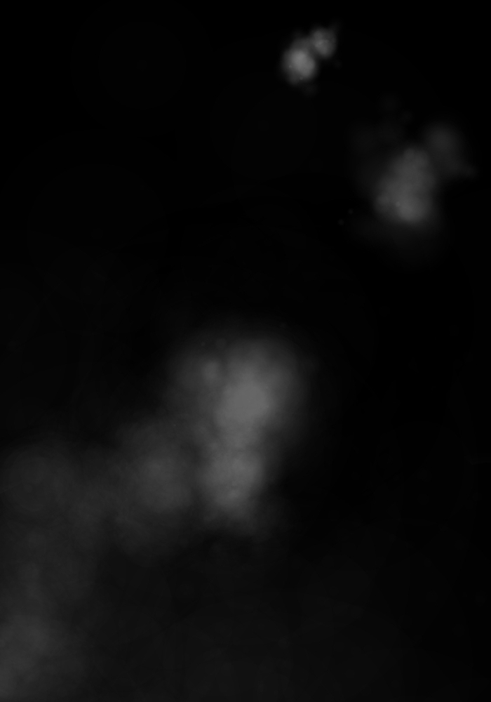 Trickster Chapter 02 Bahasa Indonesia