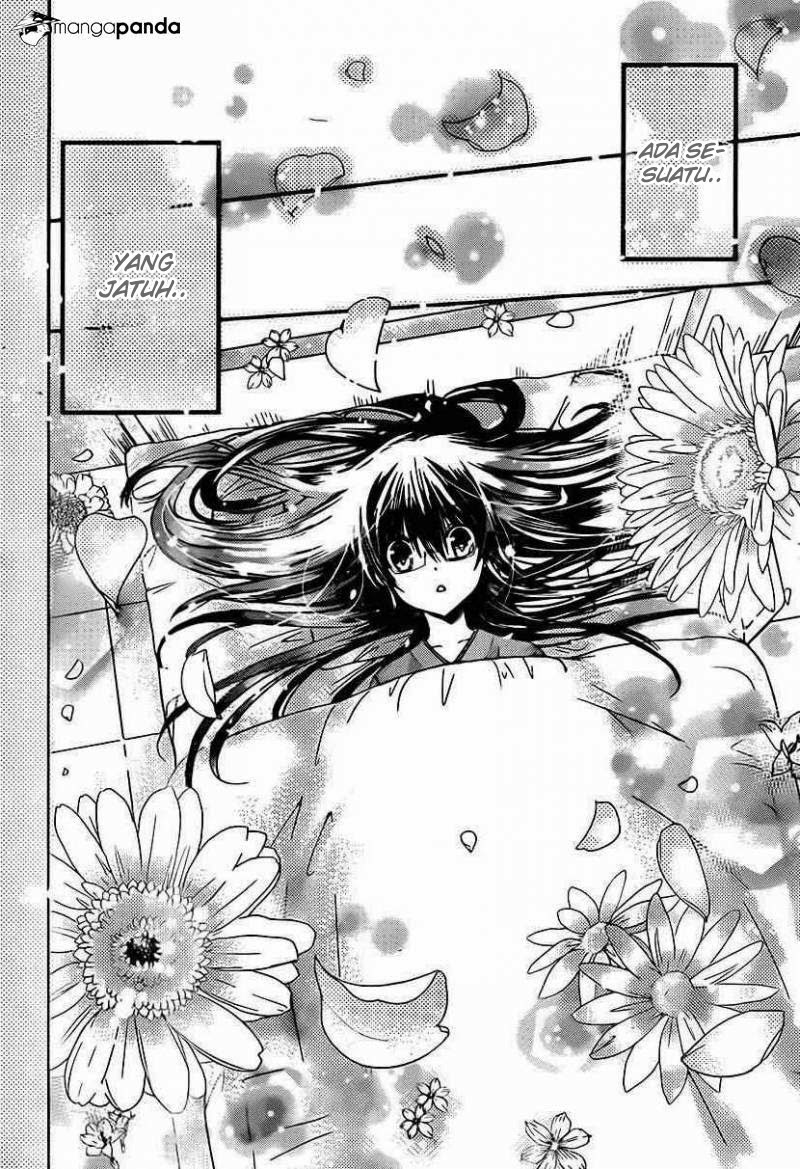 Watashi ni xx Shinasai! Chapter 49